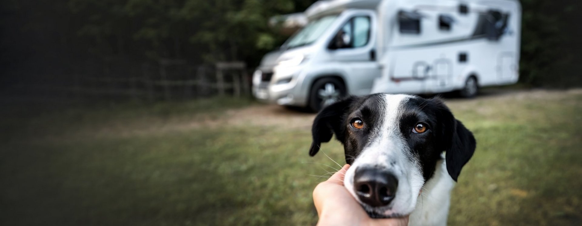 Dieses Wohnmobil Zubehör ermöglicht Ihnen einen stressfreien Urlaub –