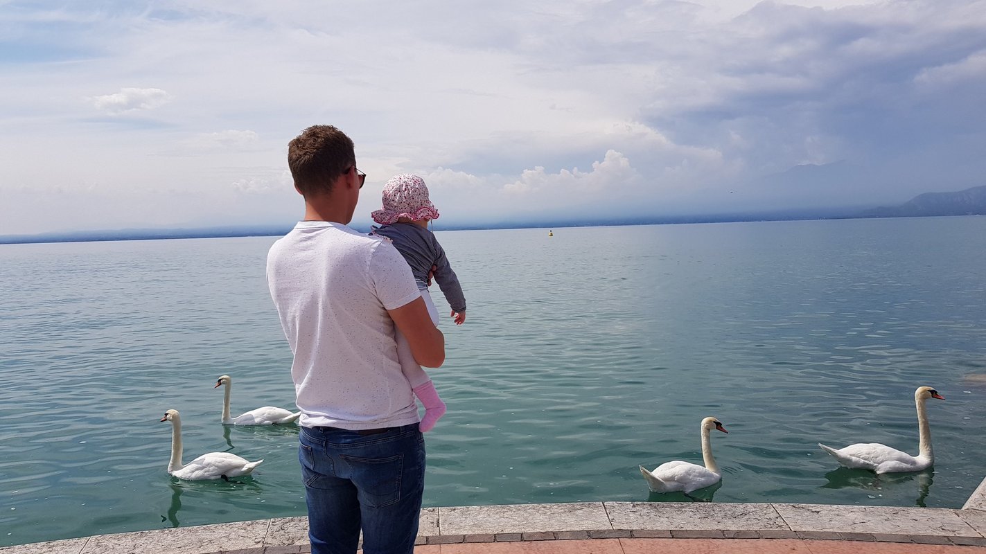 Mann und Baby gucken sich Schwäne im Wasser an